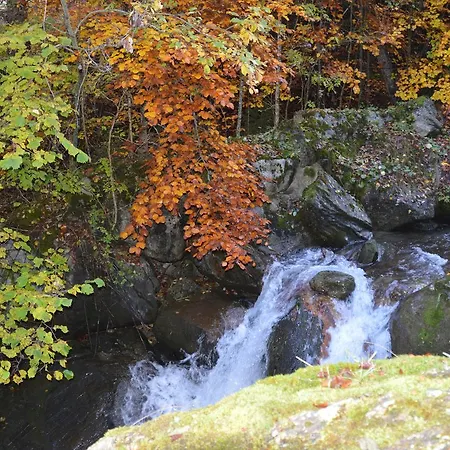 Clos Du Pre - Chaleur Chalet *